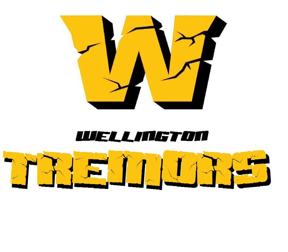 wt for zec 11 DFL logo