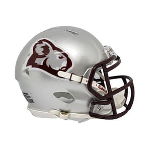 Queensland Kays Riddell Speed Mini Helmet Silver
