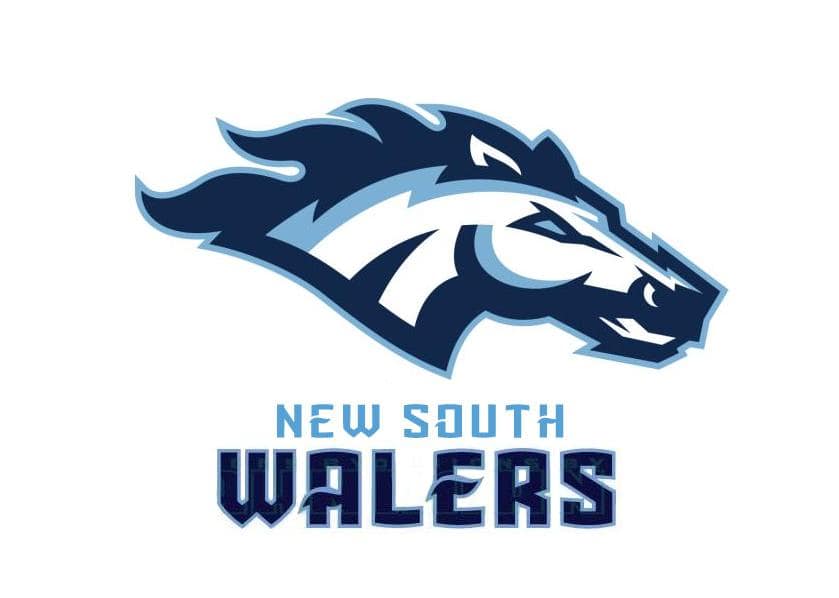 New South Walers logo